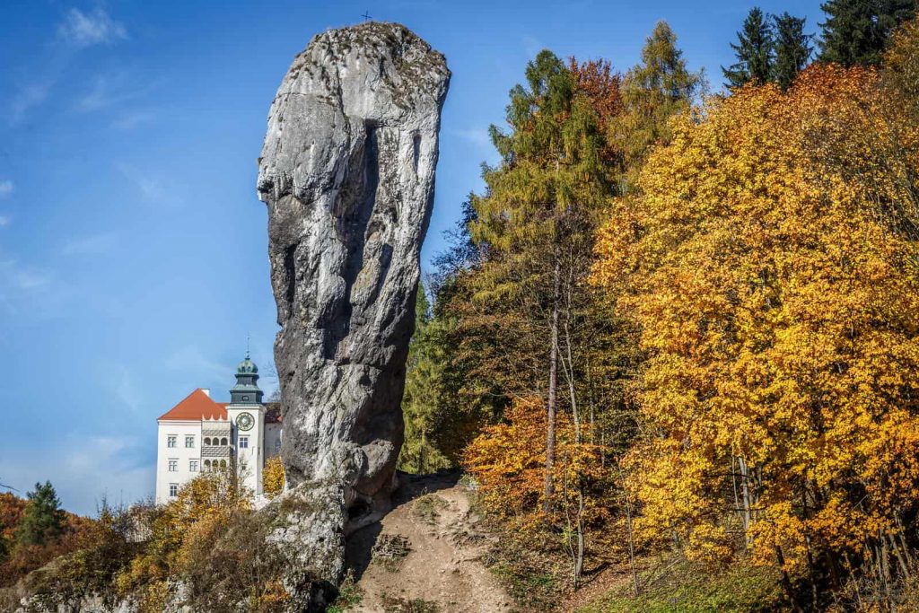 Wycieczka szkolna do Ojcowskiego Parku Narodowego