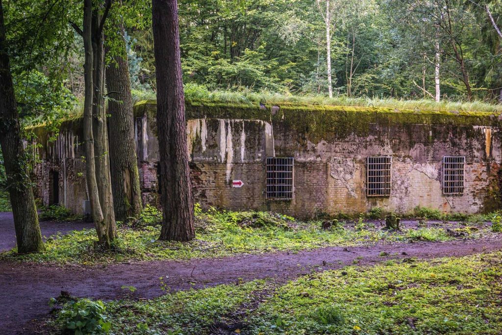 Wilczy Szaniec – wycieczki szkolne – Mazury wycieczka dla uczniów