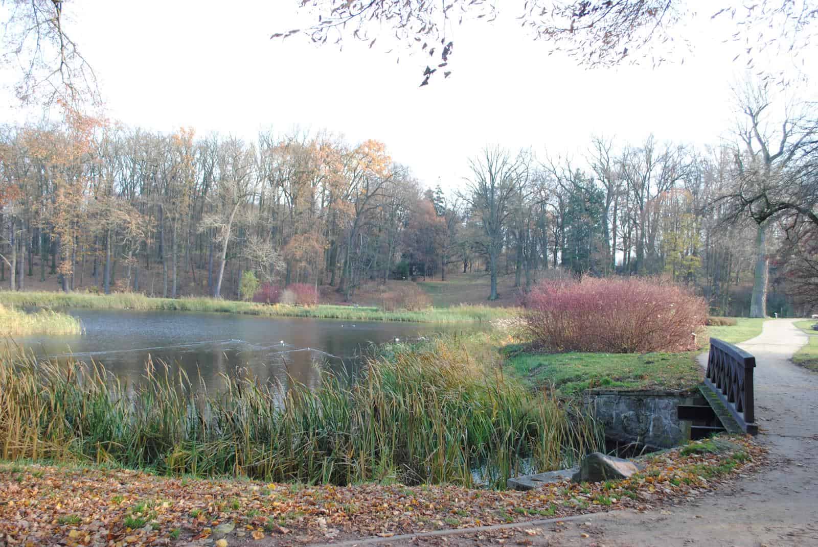 Wycieczki szkolne Park i Zamek GOŁUCHÓW