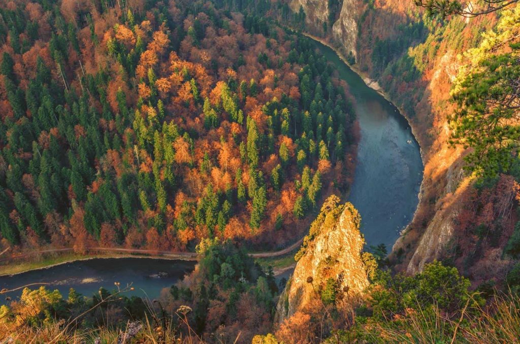 Wycieczka szkolna Pieniny