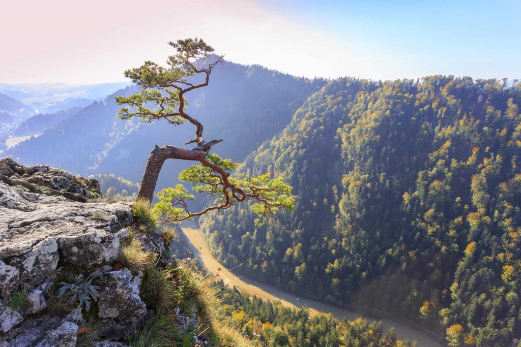 Wycieczki szkolne PIENINY