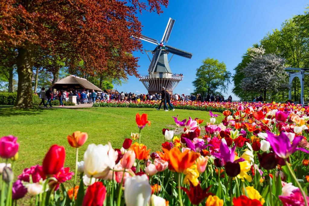 Najciekawsze Atrakcje Holandii – Biuro Podróży Junior Travel