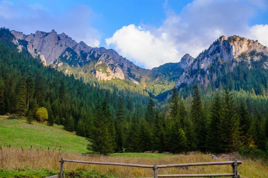 Wycieczki szkolne ZAKOPANE