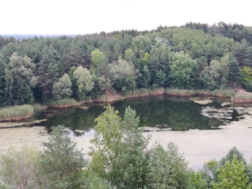 Wycieczki Wielkopolski Park Narodowy