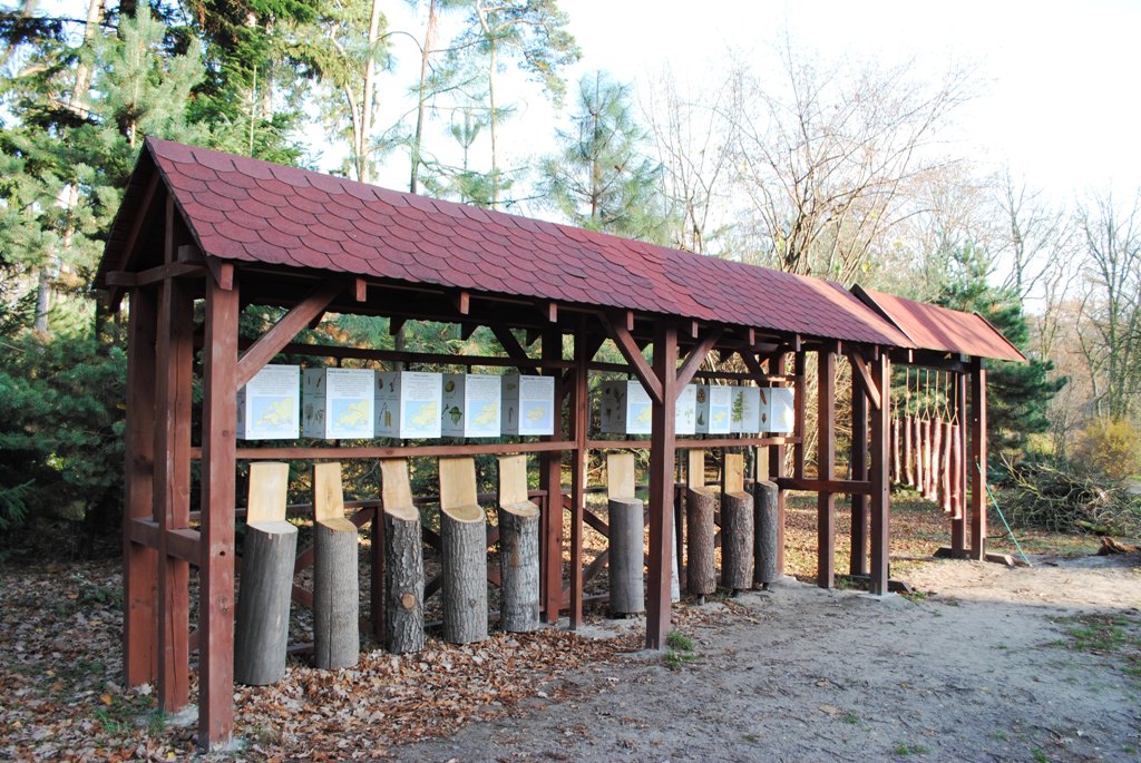 Muzeum przyrody w Gołuchowie