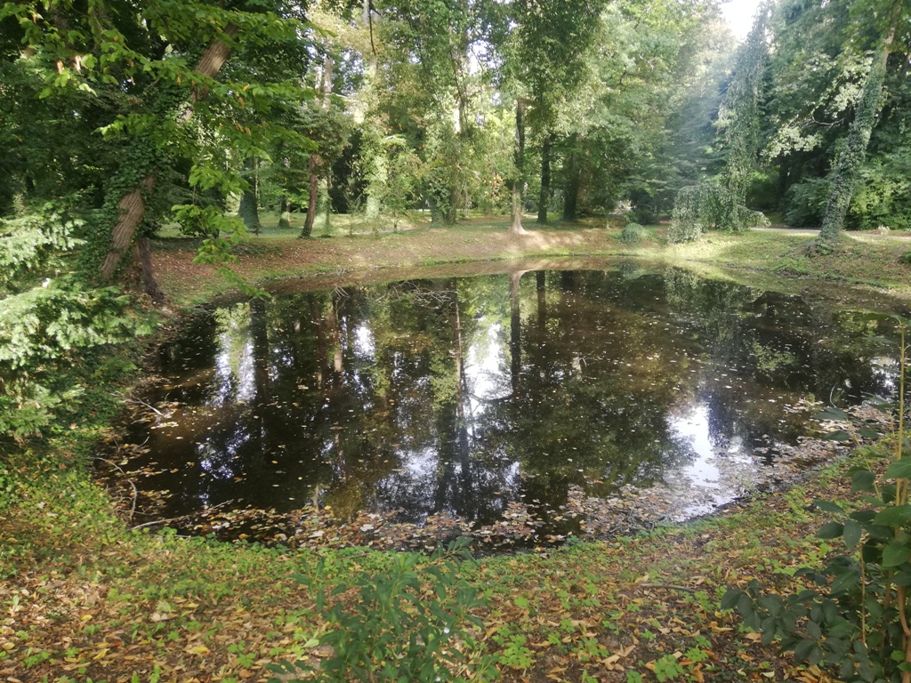 Rezerwacja zwiedzania dla grup szkolnych Arboretum i Zamek w Kórniku