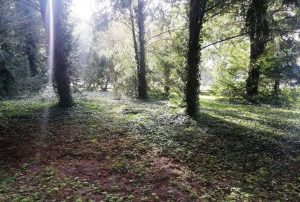 Wycieczki Wielkopolski Park Narodowy