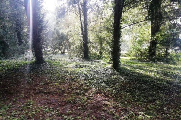 Wycieczki Wielkopolski Park Narodowy