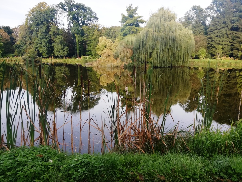 lekcje przyrodnicze Arboretum w Kórniku – wycieczki edukacyjne Kórnik