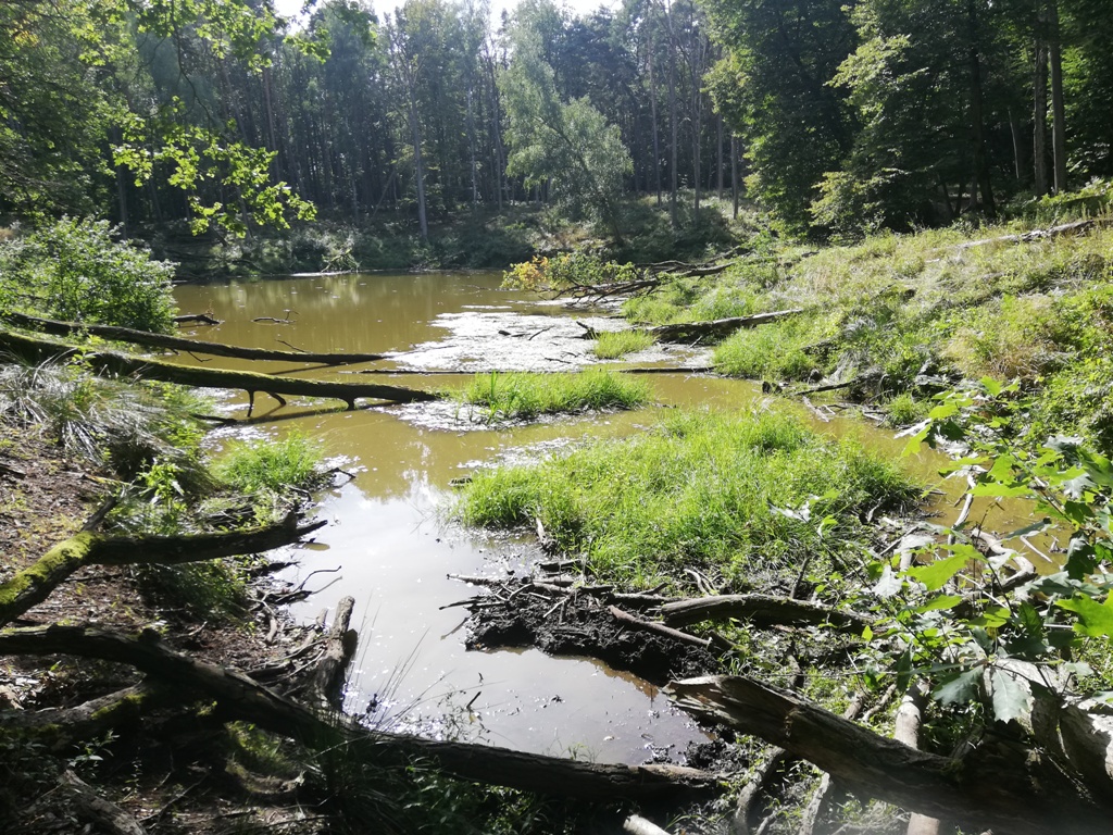 Wycieczki Wielkopolski Park Narodowy