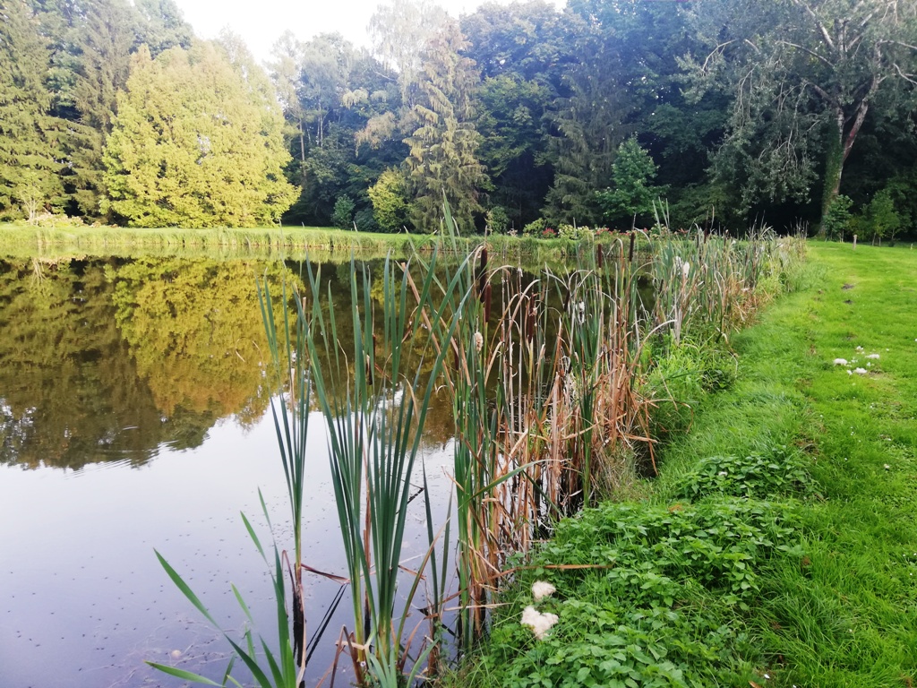 Arboretum w Kórniku – wycieczki szkolne