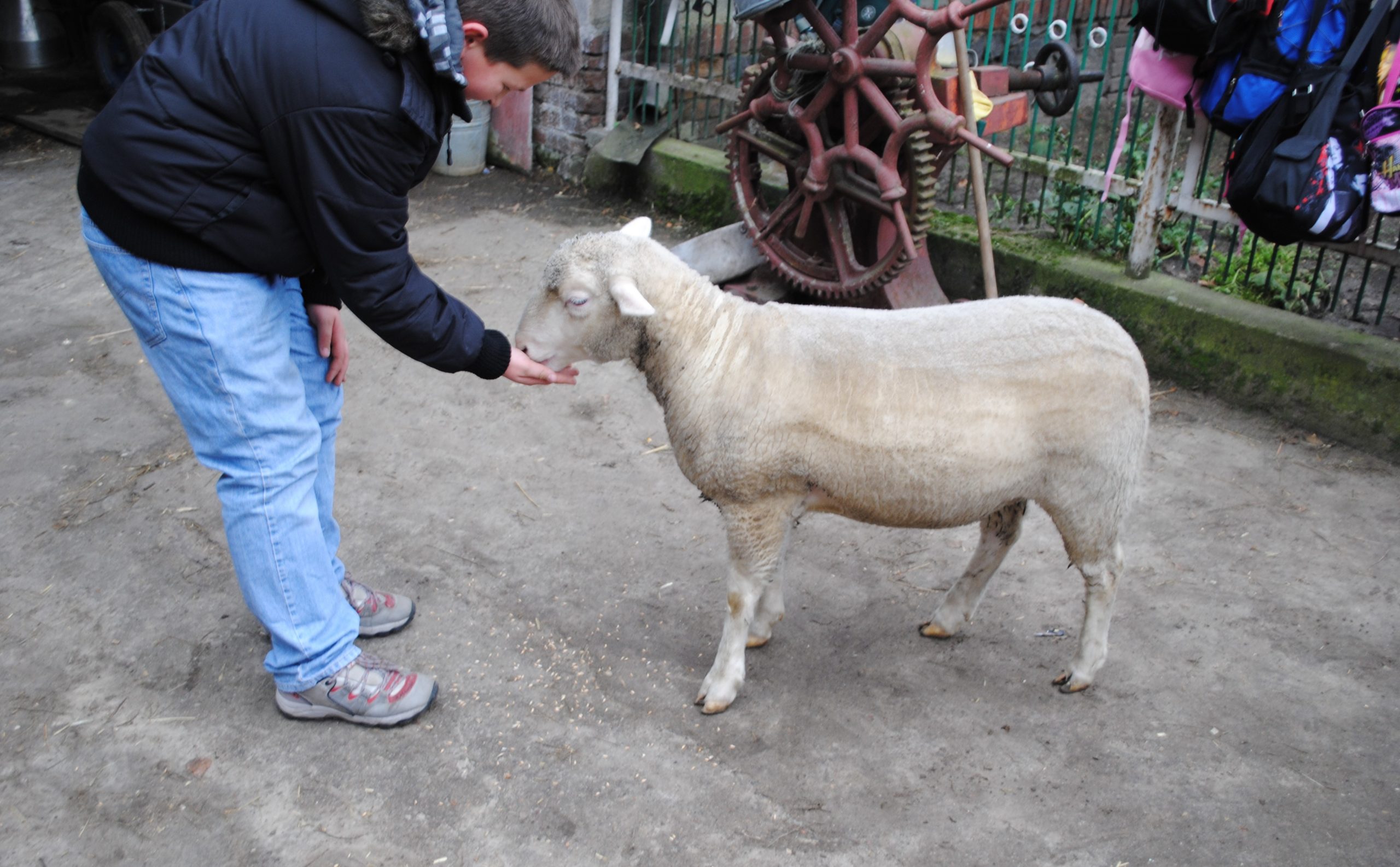 Wycieczki szkolne Agroturystyka