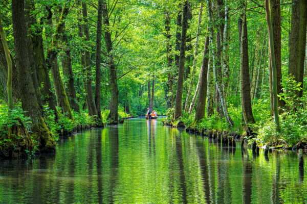 Spreewald Spreewald