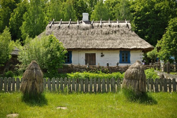 Wycieczki szkolne na Podlasie i do Białowieży